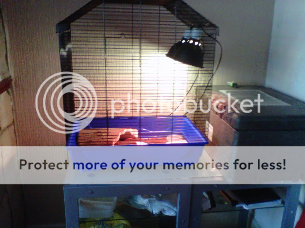 Posted Image